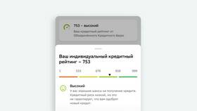 Что значат баллы кредитного рейтинга в ОБИ