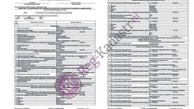 Как получить выписку из ЕГРЮЛ организации в ОБИ