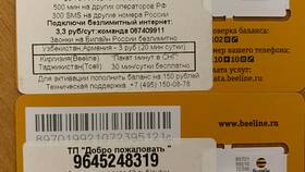Как восстановить SIM-карту Билайн через интернет в ОБИ