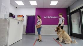 Почему на Wildberries не отображается возврат товара в ОБИ