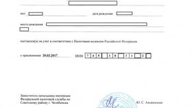 Почему СНИЛС оформляется на листе формата А4 в ОБИ