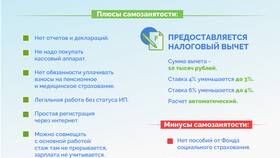 В чем суть самозанятых в ОБИ