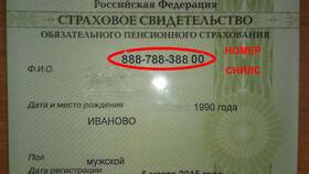 Зачем цифры в паспорте в ОБИ